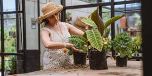 The Top 11 Best Houseplants Everyone Will Love